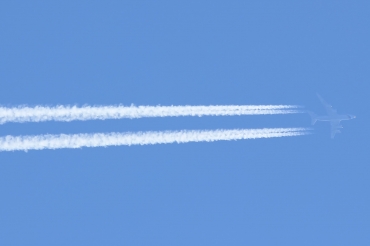 RA-96019 · Ilyushin Il-96-300 · -