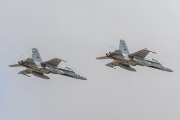 C.15-81 · McDonnell Douglas EF-18A Hornet · (LPA / GCLP)
