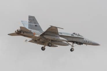 C.15-95 · McDonnell Douglas EF-18A Hornet · (LPA / GCLP)