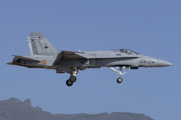 C.15-96 · McDonnell Douglas EF-18A · (LPA / GCLP)
