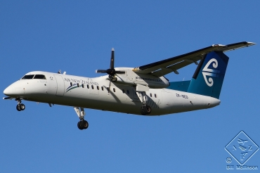 ZK-NED · Bombardier Dash 8-Q311 · (CHC / NZCH)