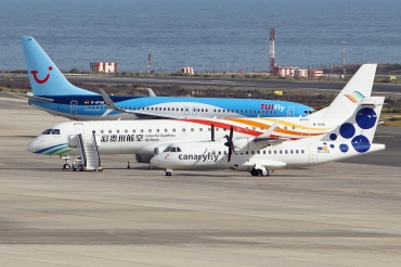 EC-LYZ