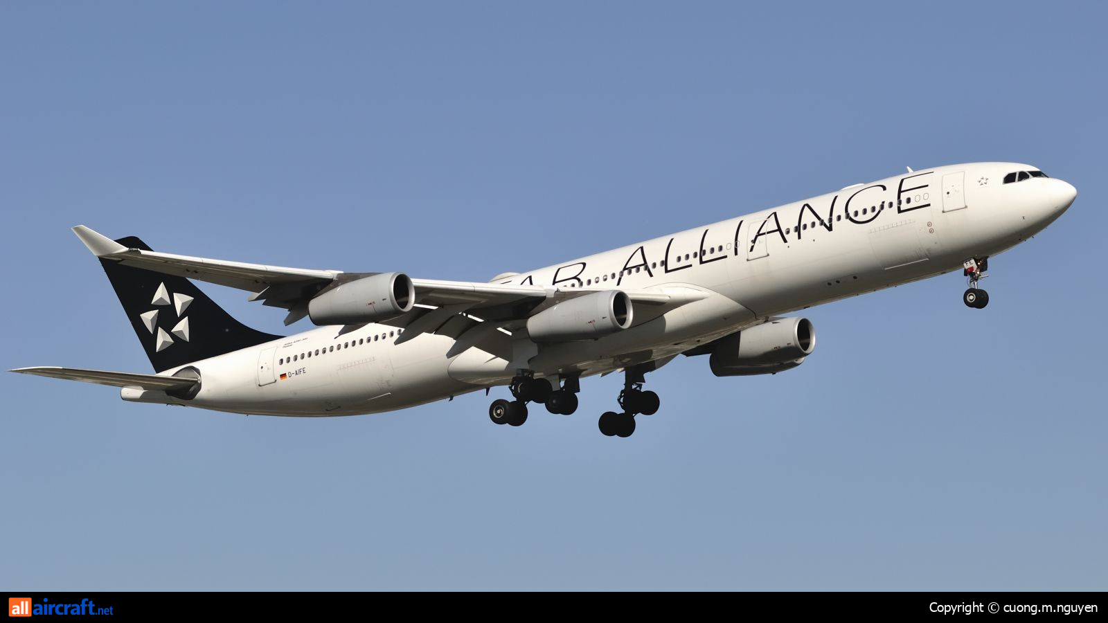 D-AIFE · Airbus A340-313 · (YUL / CYUL)
